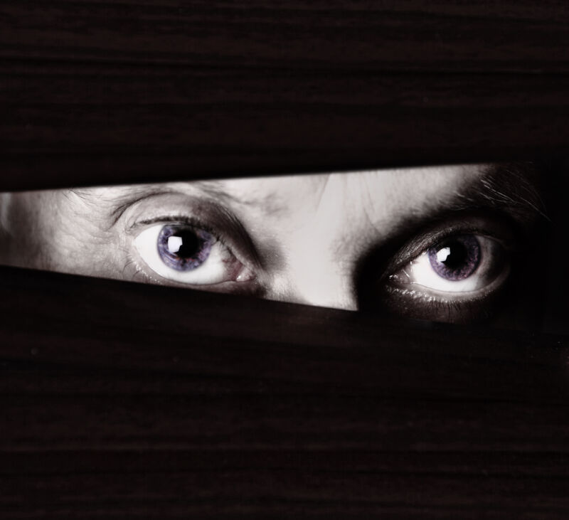 A black and white close up of a creepy male eye staring suspiciously through the slats of closed blinds. You could be a criminal, a stalker, or a cautious home owner.