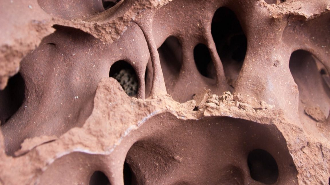 No A/C? No problem, if buildings copy networked tunnels of termite ...