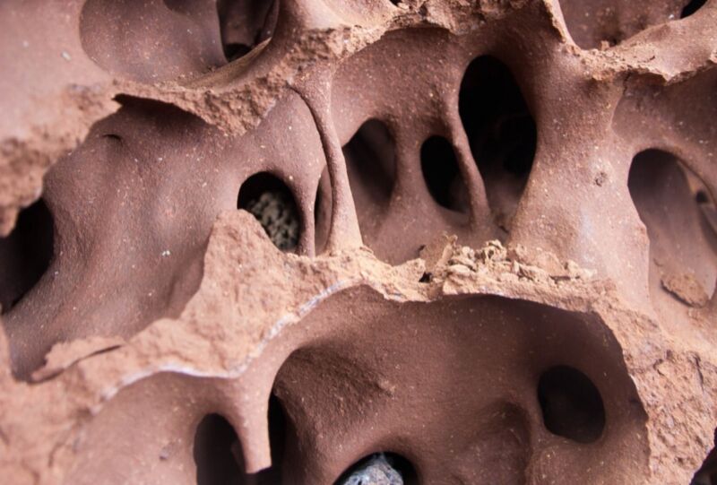 Part of the complex of a Macrotermes michaelseni termite mound from Namibia