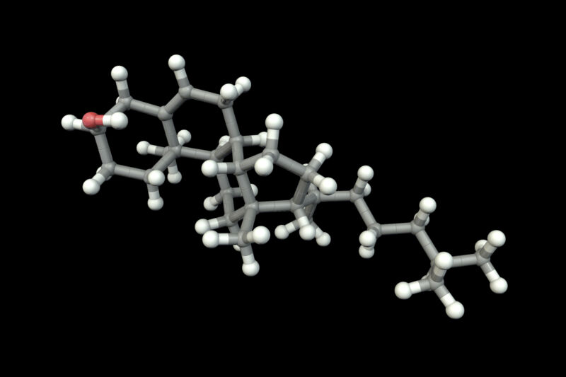 Липиди на милиарди години загатват за дълга история на сложни клетки – Ars Technica