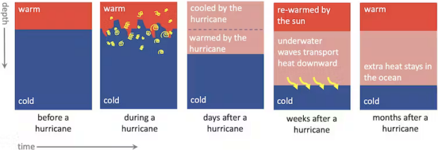 Estas ilustrações mostram o que acontece com a temperatura do oceano antes, durante e vários meses após a passagem de um furacão.