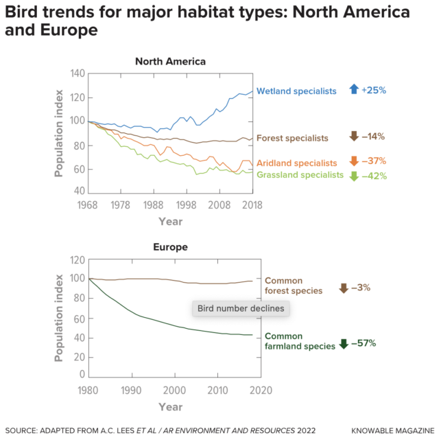 Le nombre d'oiseaux diminue dans un large éventail d'habitats, comme le montrent ces graphiques provenant d'Europe et d'Amérique du Nord. Les oiseaux qui vivent dans les prairies, les terres agricoles et les zones arides sont particulièrement touchés.