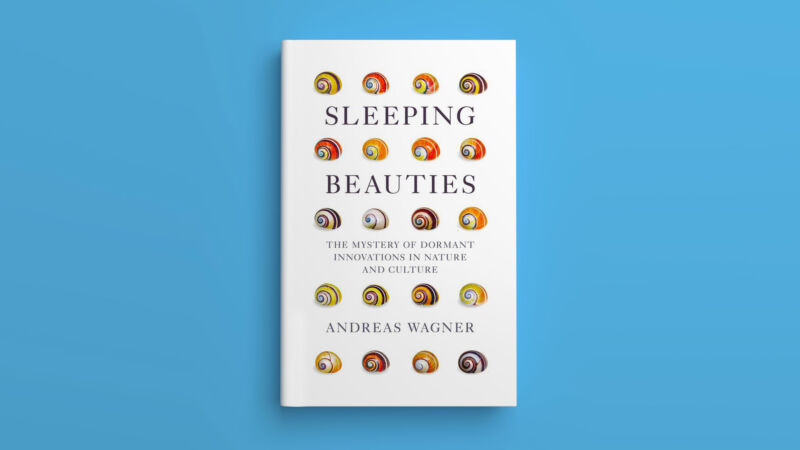 Mock-up sa <em>Sleeping Beauties</em> book cover.”/><figcaption class=