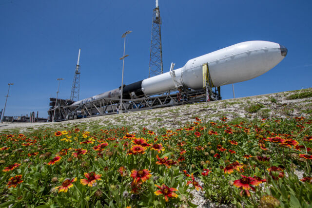 El cohete Falcon 9 de SpaceX, con el telescopio Euclid en su cubierta de carga útil, se desplaza hacia su plataforma de lanzamiento en Cabo Cañaveral.  El Falcon 9 voló con un carenado de carga útil nuevo y un propulsor de primera etapa reutilizado.