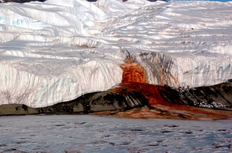 Blood Falls seeps from the end of the Taylor Glacier into Lake Bonney