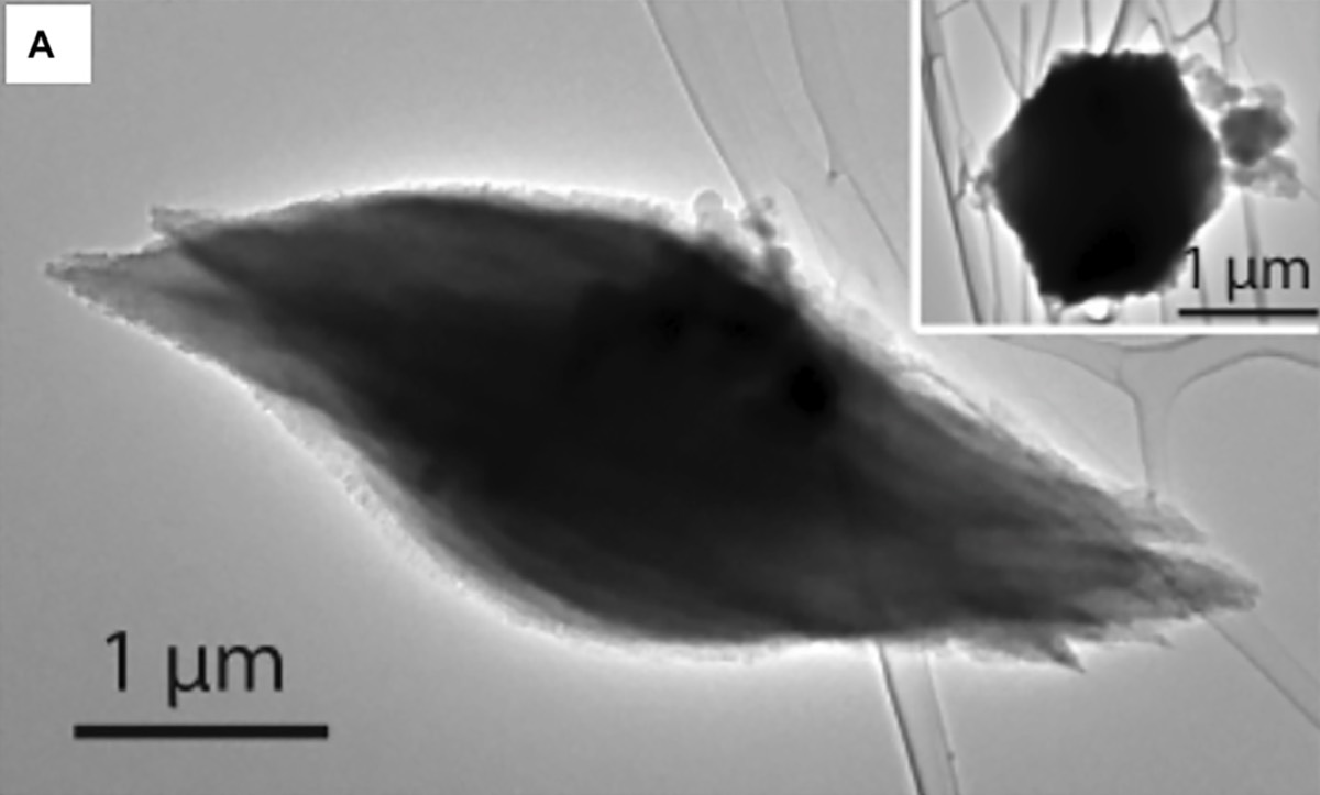 TEM results for one of the samples