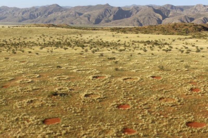 Namibian fairy circle debate rages on: Sand termites or Turing mechanism?  [Updated]