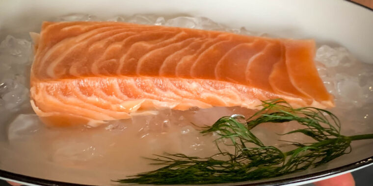 Image for article I try synthetic salmon and enter the uncanny valley of taste
