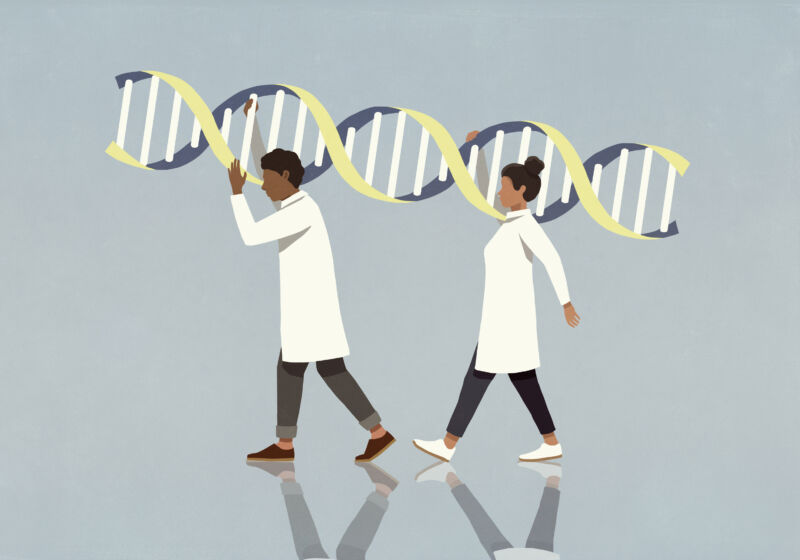 Cartoon of two people in lab coats carrying a DNA molecule.