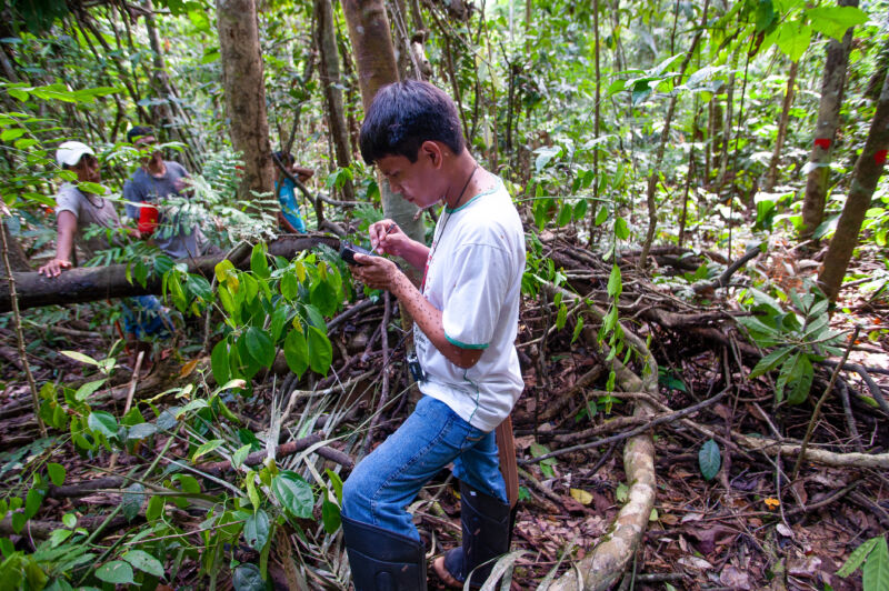 Paiter-Surui volunteers alongside "forest engineers" from a Brazillian Government support program using GPS equipment to map and measure the trees and vegetation in the "7th September Indian Reserve" Rondônia, Brazil. This information is intended to later be used to calculate the forest carbon content. Indigenous people have contributed less to climate change than has any other section of the population, yet they are among those most in jeopardy from its impact.