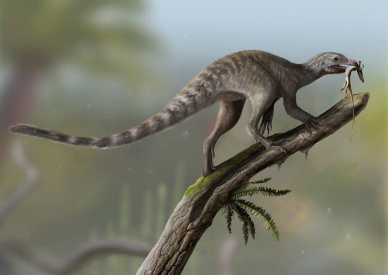 Unique Bone Structure Helped Long-Necked Pterosaurs Fly