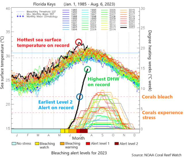 This year’s maximum sea surface temperature (top chart) and degree heating weeks (lower chart), a measure of accumulated heat stress, are the highest since record-keeping began.