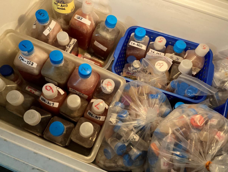 A picture of containers taken from the illegal UMI lab in Reedley, California.