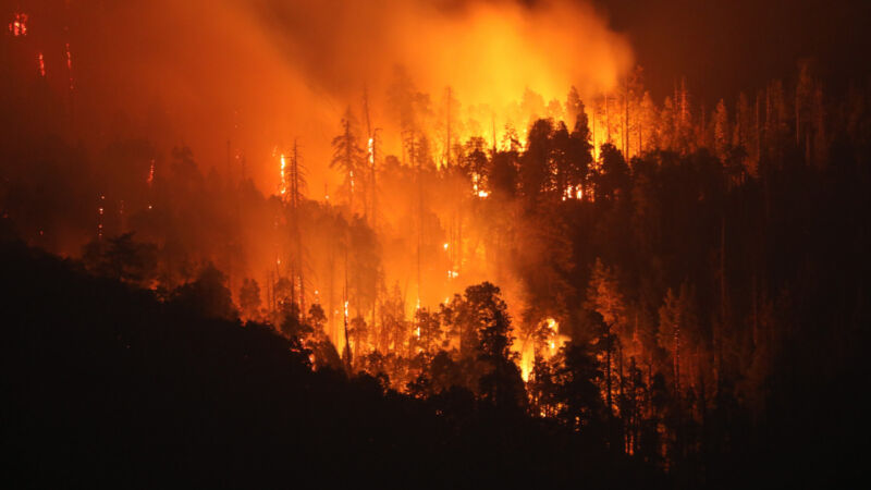 Burning trees since wildfires and smoke blanket the landscape in California, USA. Photographer: David Swanson/Bloomberg