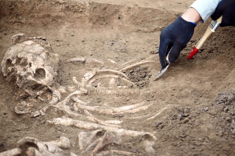 Image of an excavation of a human skeleton.
