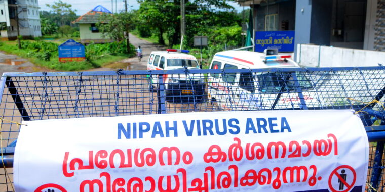 Dans la course pour stopper une épidémie virale mortelle en Inde