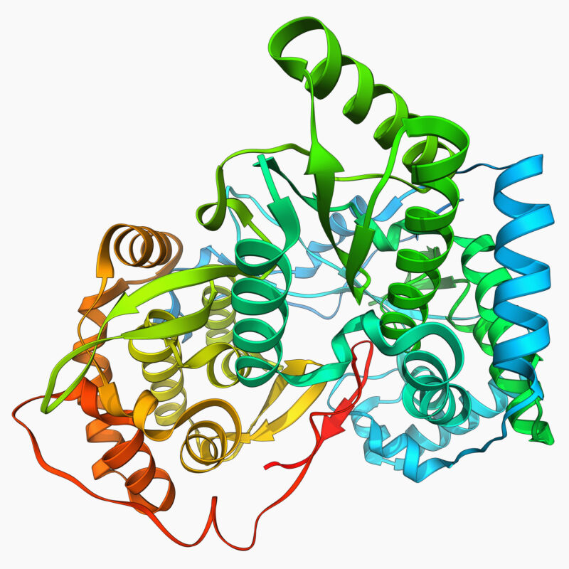 Diagrama de desene animate a unei structuri de proteine ​​3D.