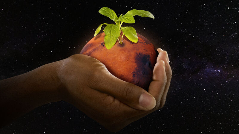 What would it take to build a self-sustaining astronaut ecosystem on Mars?