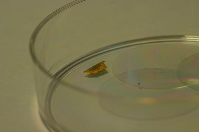 Una pequeña hojuela de oro de la superficie de una muestra de vidrio romano antiguo.
