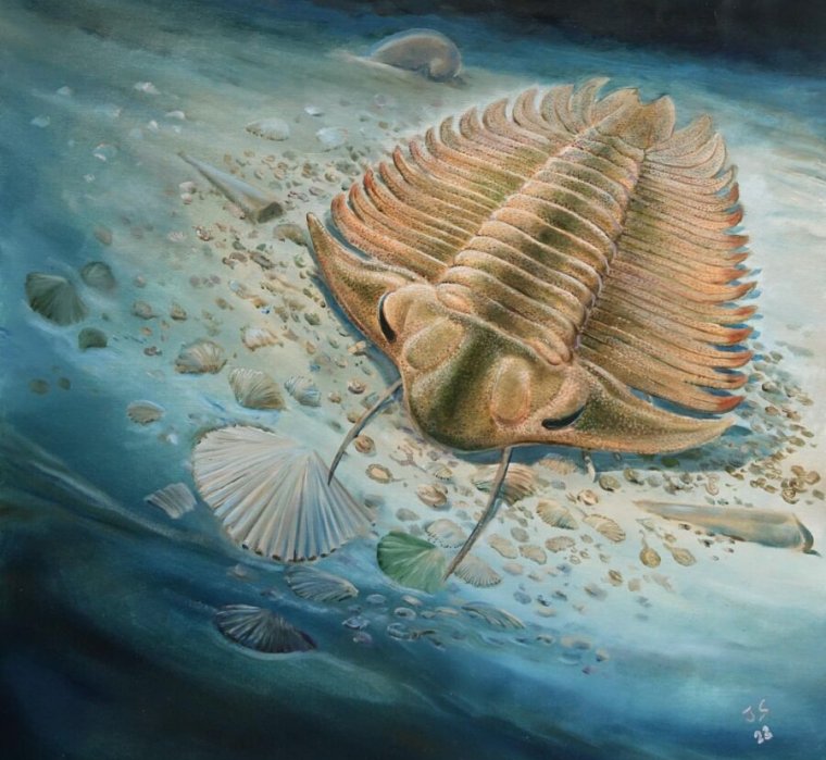artist's conception of a trilobite grazing on a collection of shell fragments.