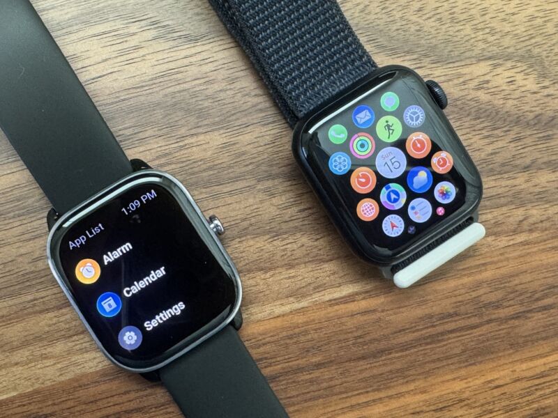 Apple Watch SE review (2022): The best smartwatch $250 can buy
