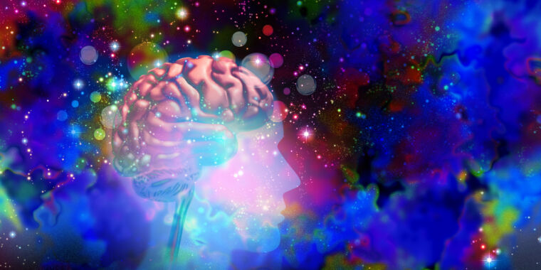 Психоделики и психотерапия могут вызвать быстрые изменения в мозге