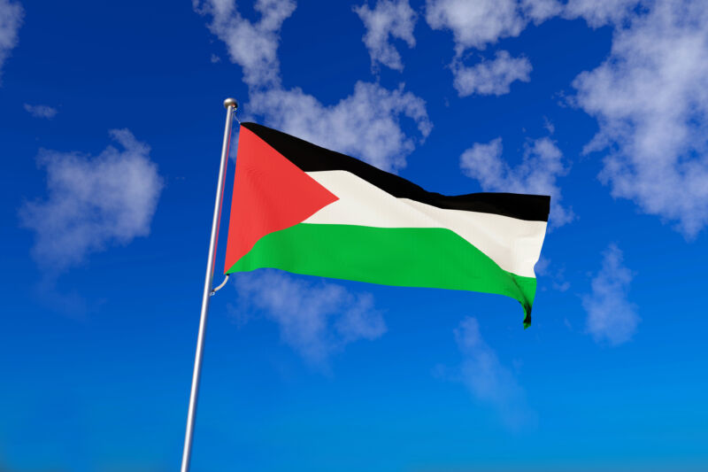 Palestine's flag.