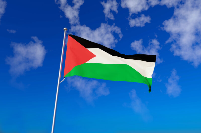 Palestine flag.