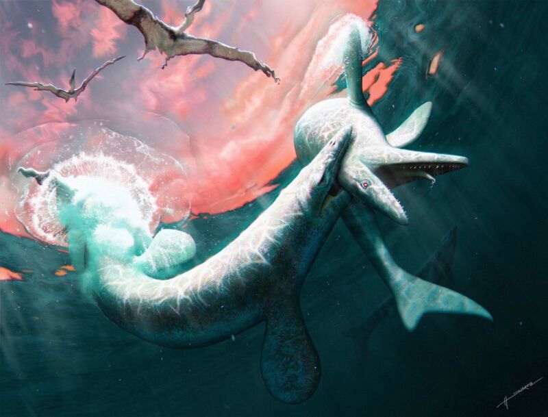 Artist's depiction of one mosasaur biting another.