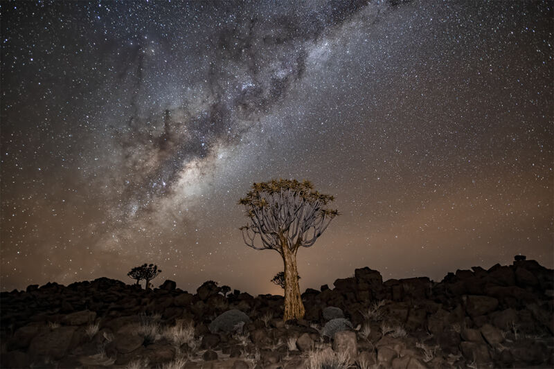 The Milky Way Galaxy rises over Namibia.