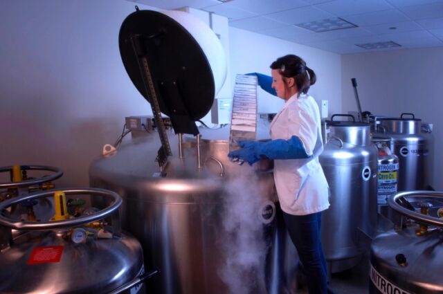 Tissue samples in cryogenic storage, kept cold with liquid nitrogen, at the Field Museum.