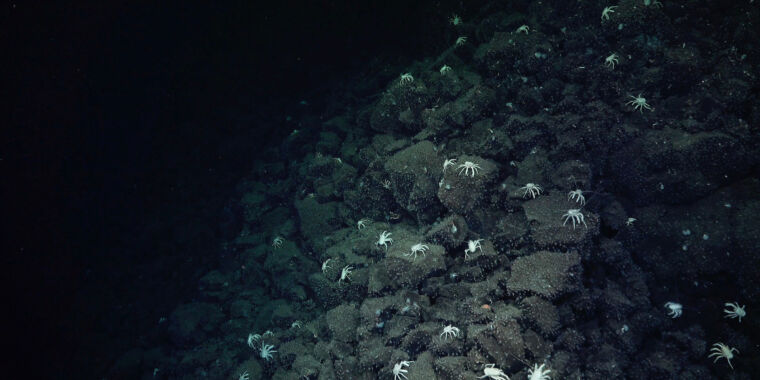 A small, otherworldly Yellowstone has been found in the deep sea