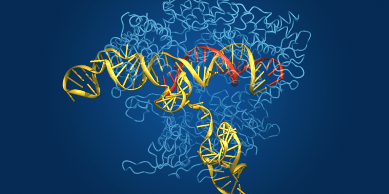 تجد خوارزمية جديدة الكثير من إنزيمات تحرير الجينات في الحمض النووي البيئي