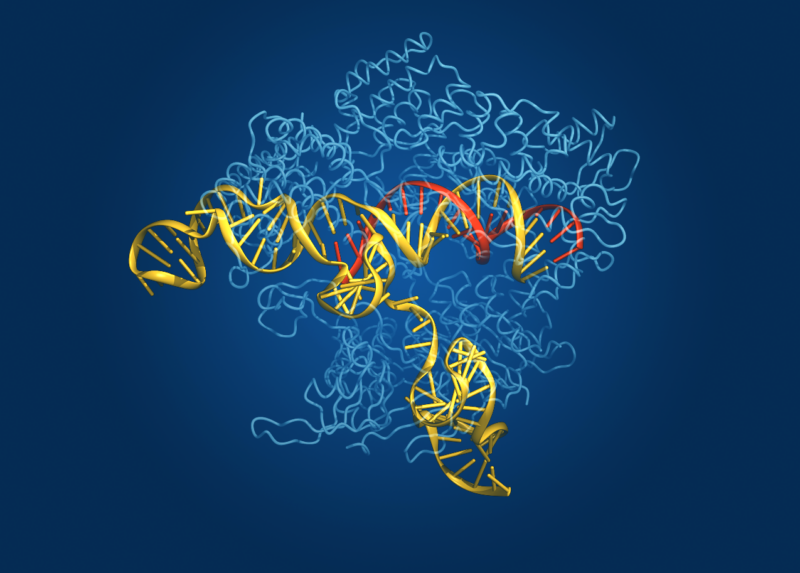 A dark blue background with light blue ribbons, and yellow nucleic acids in front.