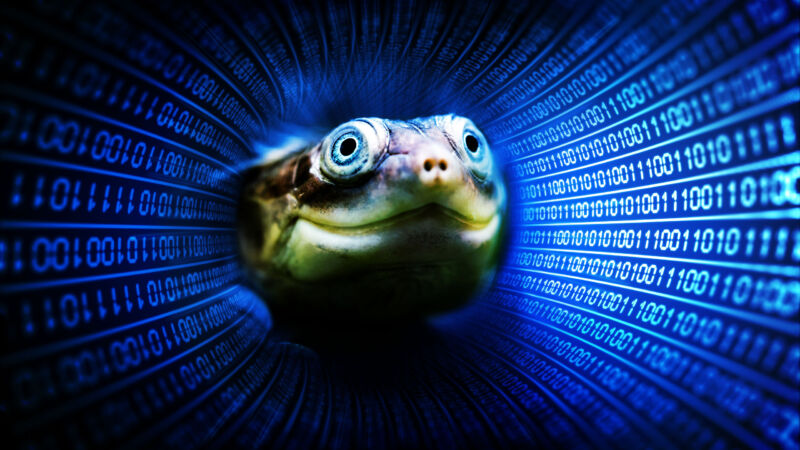 Terrapin is coming for your data.
