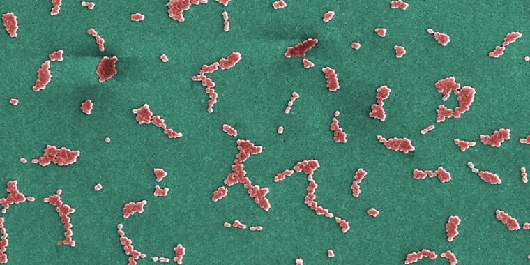 Zosurabalpin: Promising New Antibiotic for CRAB Infections