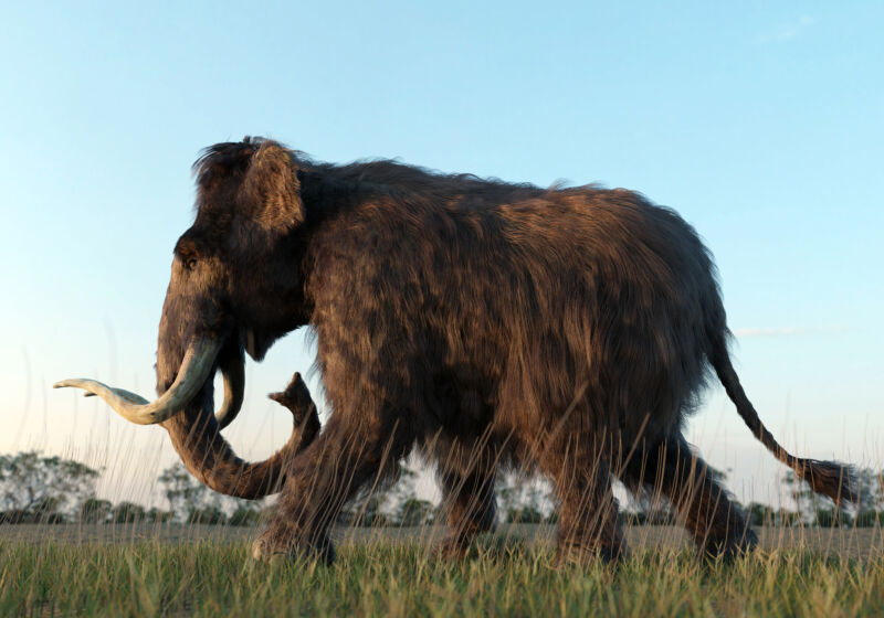 Una ilustración 3D de un mamut lanudo caminando por un campo al atardecer.