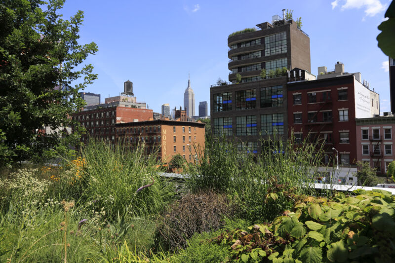 Lots of plants in the foreground, and dense urban buildings in the background