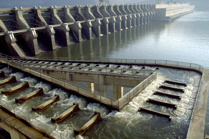 John Day Dam fish ladder on the Columbia River is just one example of the ways to get salmon and other migratory fish upstream to spawn. 