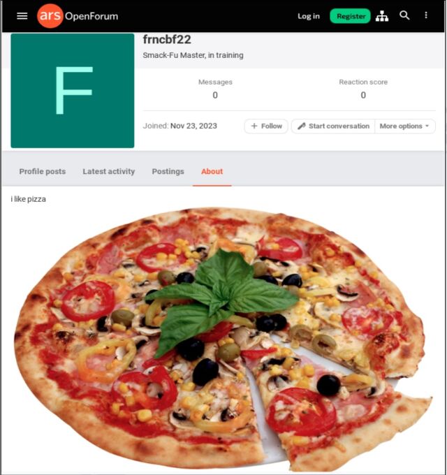 Picture of pizza posted by the user.