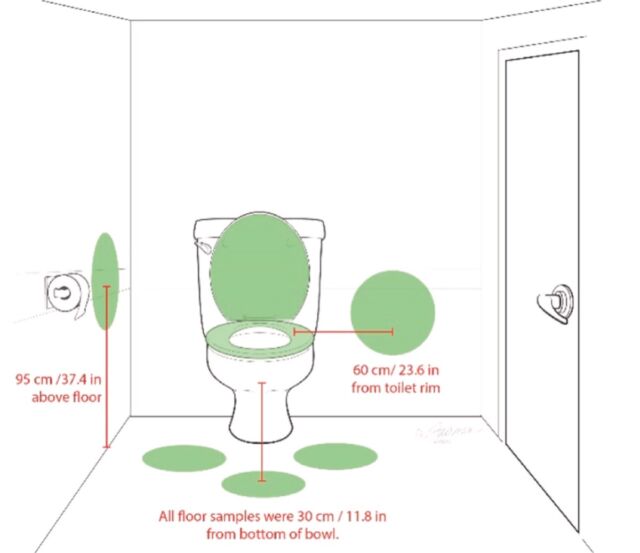 toilet1-640x553.jpg