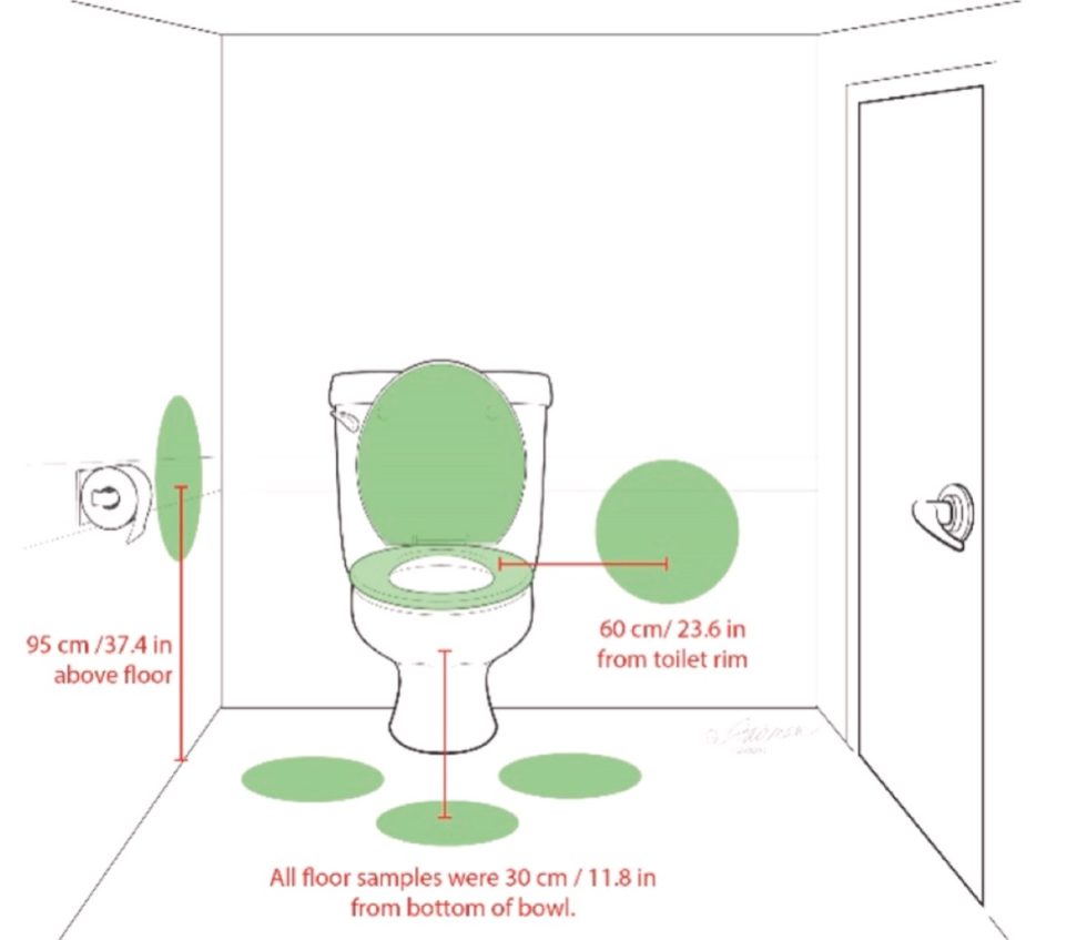 Should you flush with toilet lid up or down? Study says it doesn’t ...