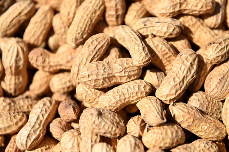 New FDA-approved drug makes severe food allergies less life-threatening