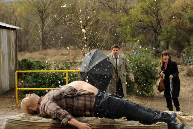 Agent Booth (David Boreanaz) and Temperance Brennan (Emily Deschanel) visited a body farm in a 2011 episode of <em>Bones</em>.