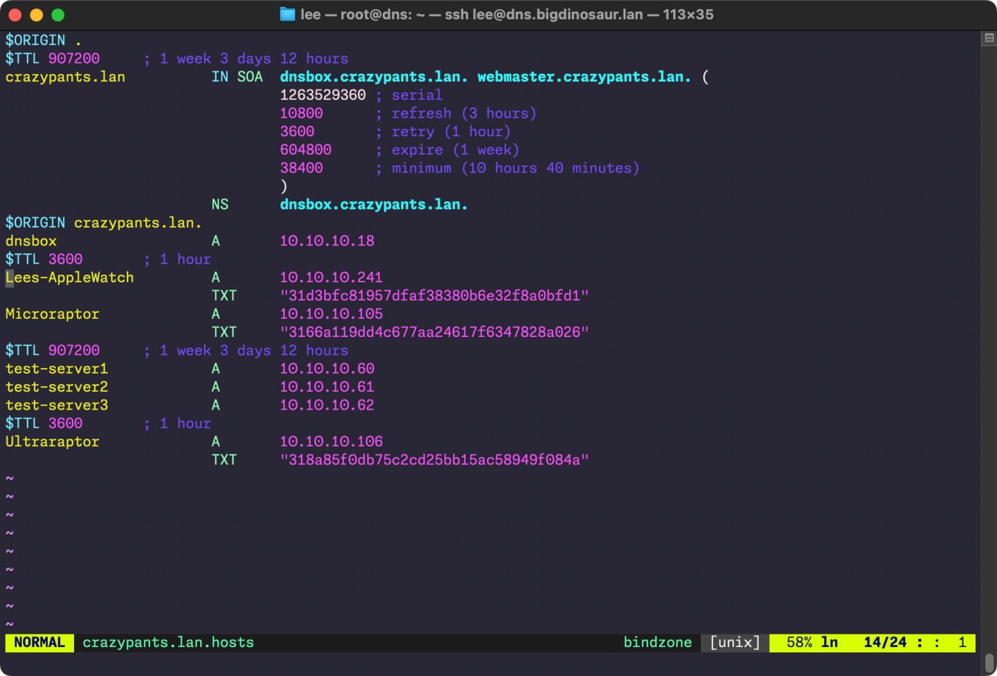 Doing DNS and DHCP for your LAN the old way—the way that works - Ars ...