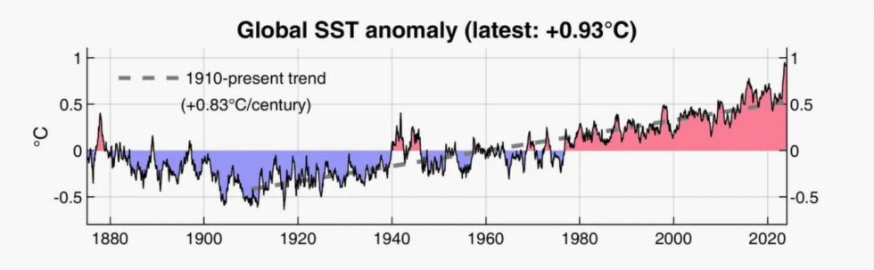 global-sst-anomaly-980x303.jpg