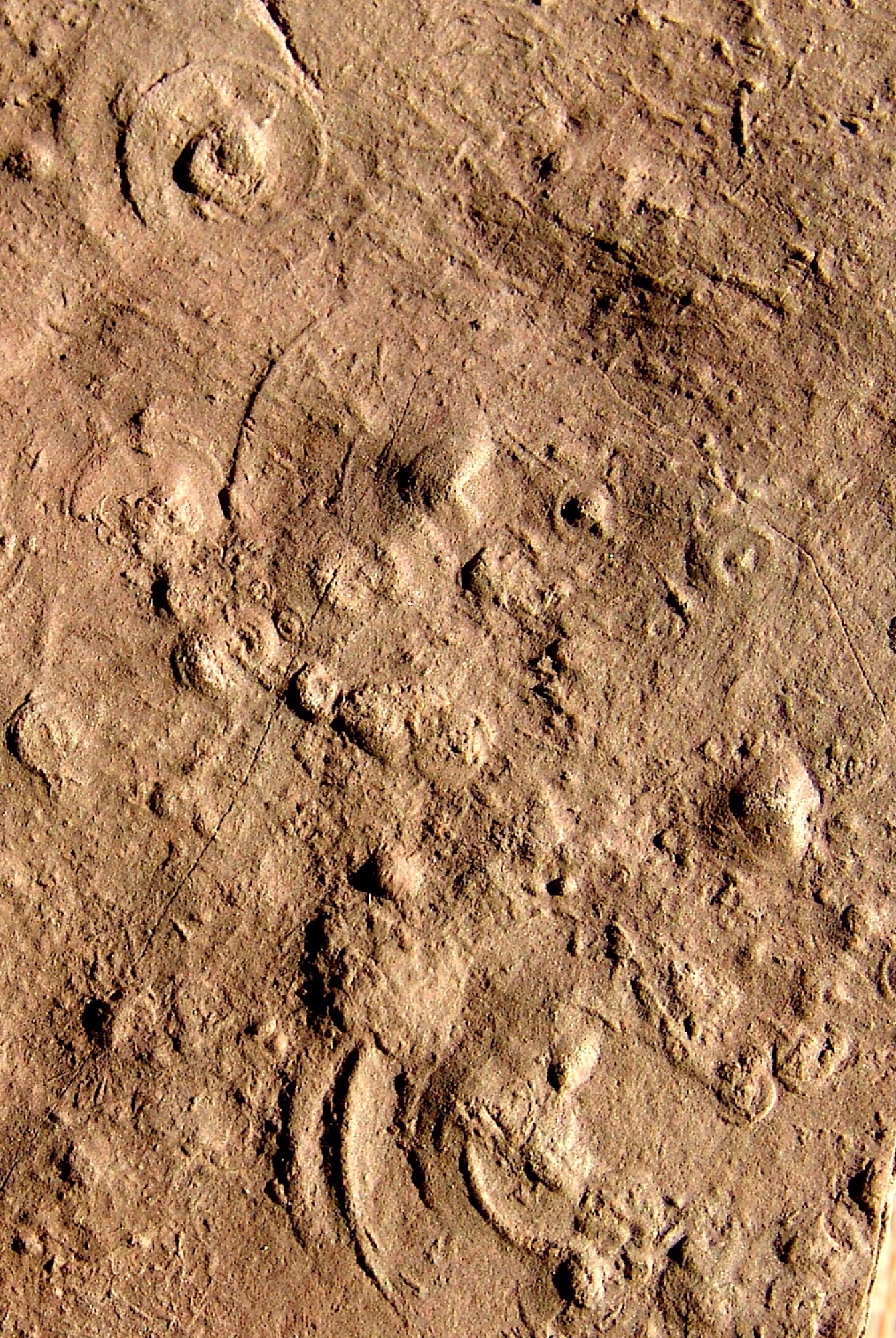 Image of slightly raised areas of rock in bedrock sandstone.