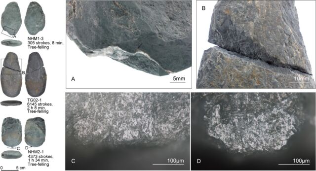 Traces left by tree-felling experiments on replica stone age tools. Characteristic macroscopic (top) and microscopic (bottom) traces might be used to determine how stone edges were used.