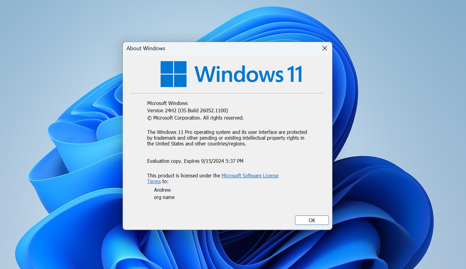 Microsoft starts testing Windows 11 24H2 as this year's big update takes  shape