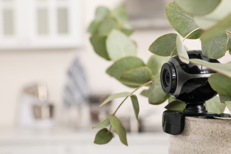 camera hidden in flower pot indoors